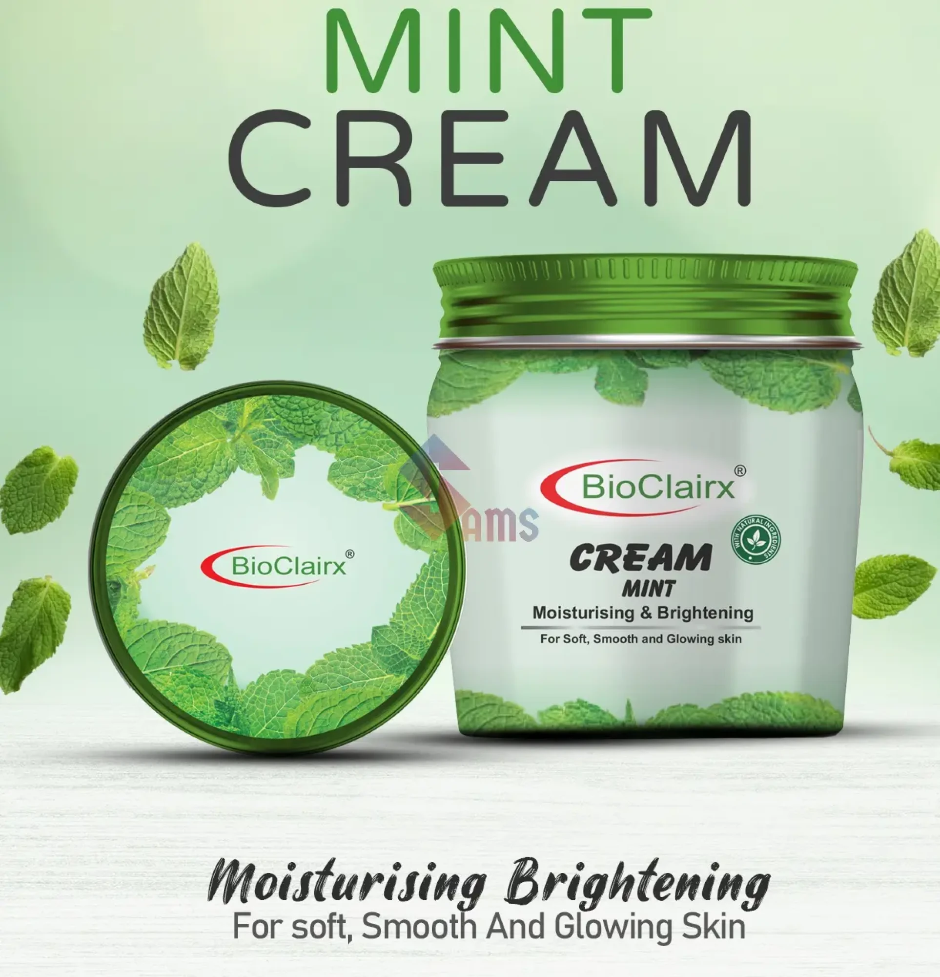 Mint Cream Artboard 1.webp